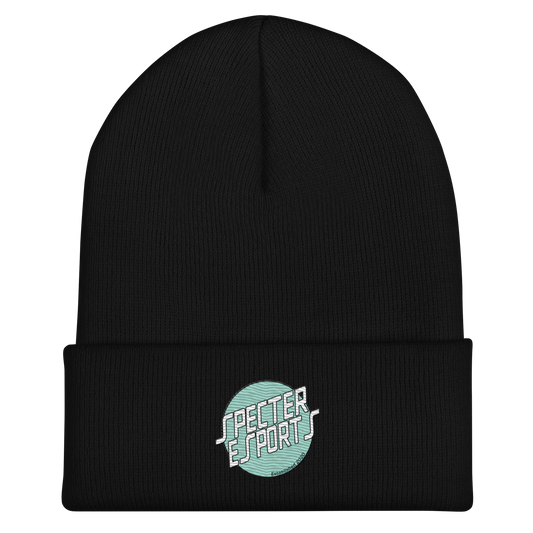 Surfer Logo Specter Beanie