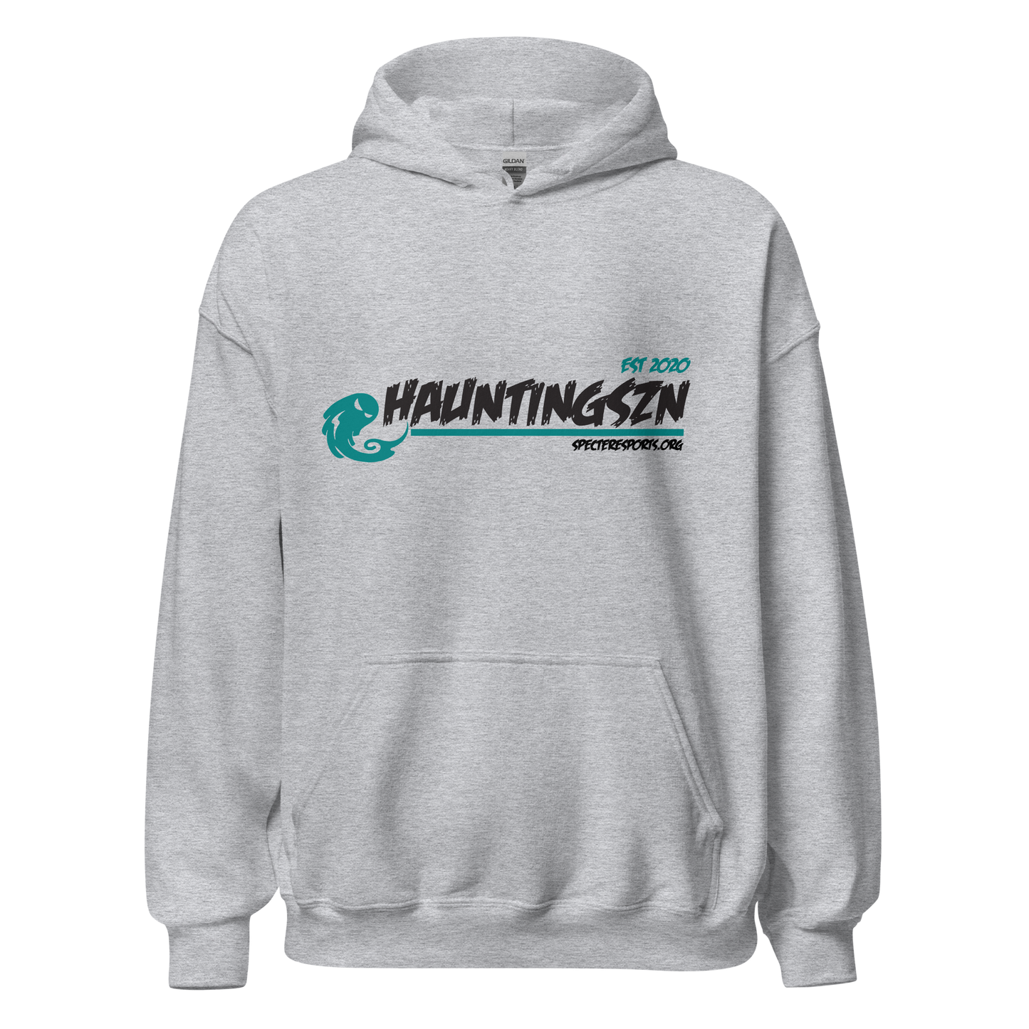 HauntingSzn Hoodie Gray